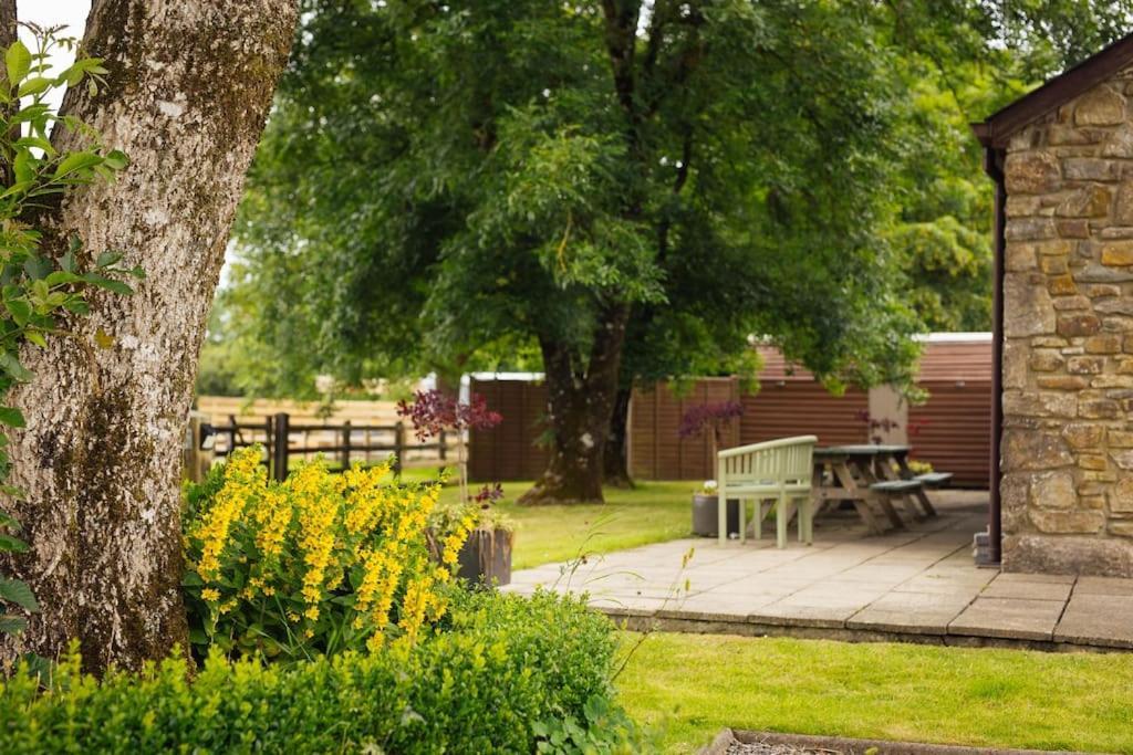 Barn Cottage - Family-Friendly Cottage With Heated Indoor Pool Haverfordwest Exterior foto